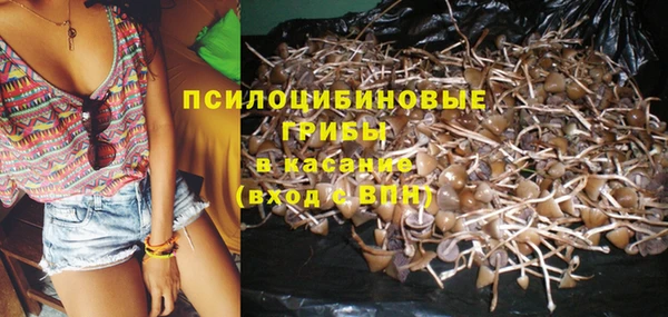 стафф Арсеньев