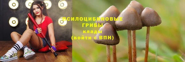 герыч Осташков