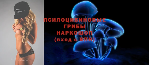 мяу мяу мука Алзамай