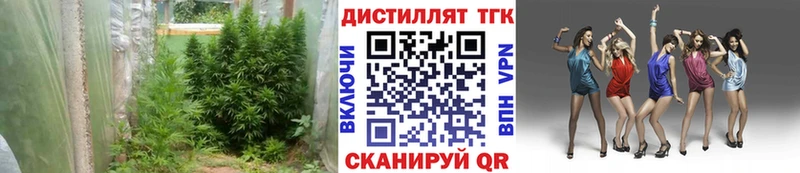 Дистиллят ТГК жижа  купить закладку  Светлоград 
