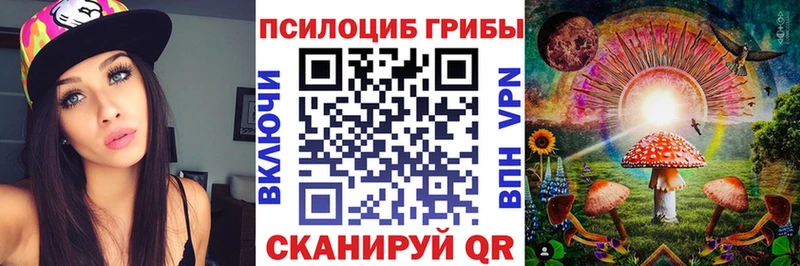 купить   Светлоград  ОМГ ОМГ маркетплейс  Псилоцибиновые грибы Psilocybe 