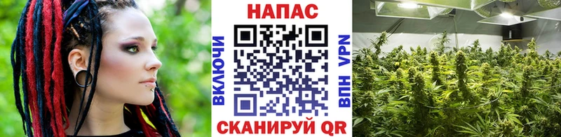 как найти   сайты даркнета Telegram  МАРИХУАНА Ganja  Светлоград 